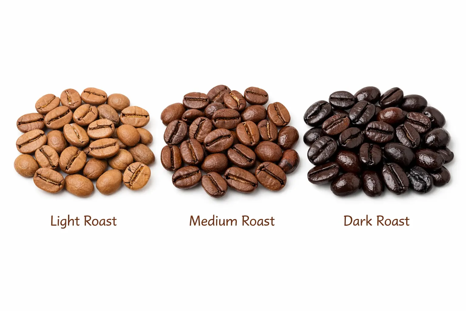 Coffee Roast Levels: Light vs Medium vs Dark — Complete Guide (2026)
